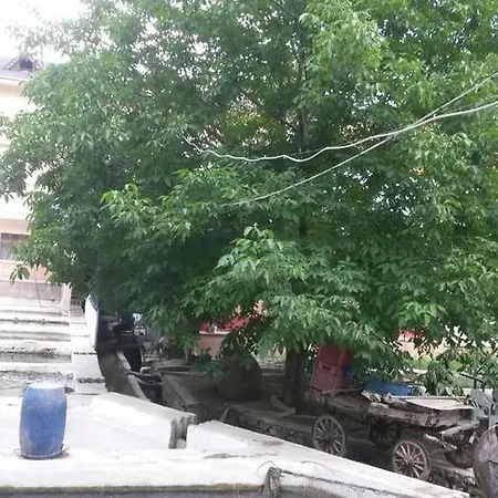 Alanlar Alabalik Ve