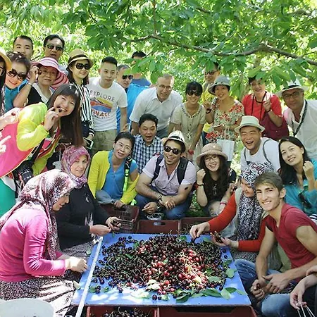 Alanlar Alabalik Ve Hotel Aglasun